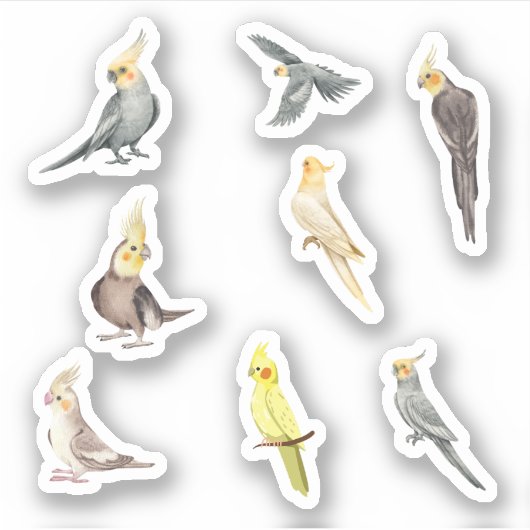 Cockatiel Stickers Aufkleber (Vorderseite)