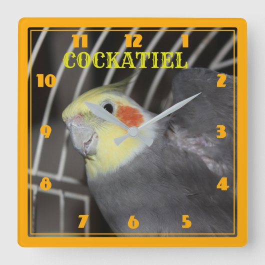 COCKATIEL-Uhr Quadratische Wanduhr (Vorderseite)