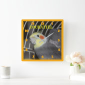 COCKATIEL-Uhr Quadratische Wanduhr (Zuhause)