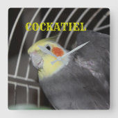 COCKATIEL-Uhr Quadratische Wanduhr (Vorderseite)