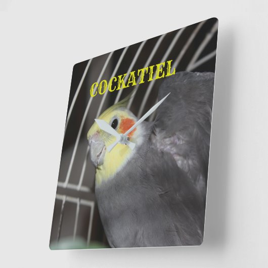COCKATIEL-Uhr Quadratische Wanduhr (Winkel)