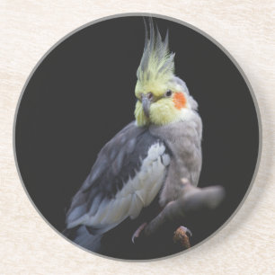 Cockatiel Untersetzer