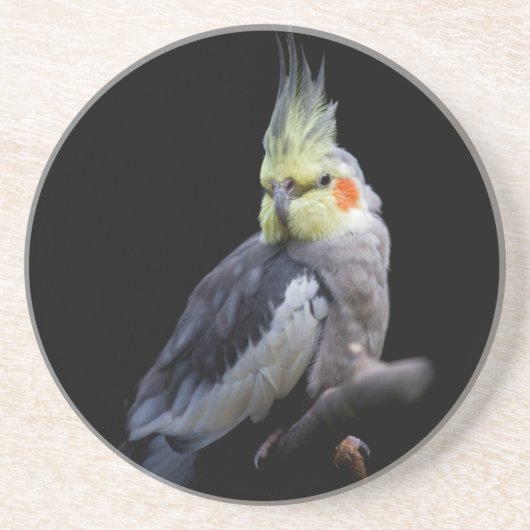 Cockatiel Untersetzer (Vorne)