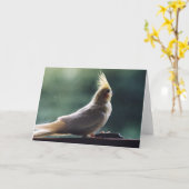 "Cockatiel-" Vogel-Fotografie-Gruß-Karte Karte (Gelbe Blume)