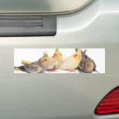 Cockatiels Autoaufkleber (Auf Auto)