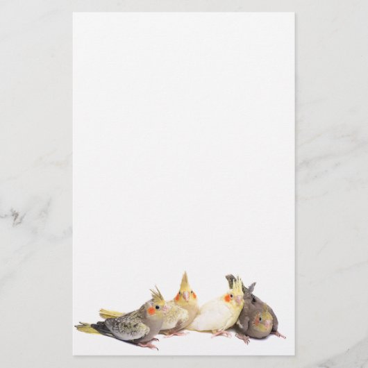 Cockatiels Briefpapier (Vorderseite)