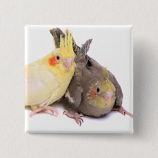 Cockatiels Button (Vorderseite)
