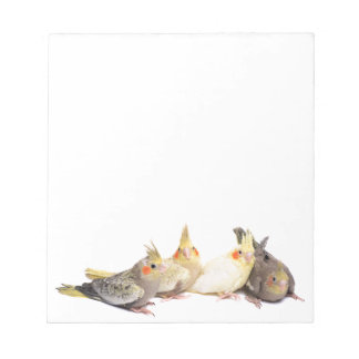 Cockatiels Notizblock