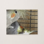 Cockatiels Puzzle (Horizontal)