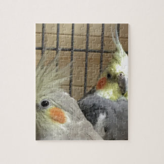 Cockatiels Puzzle