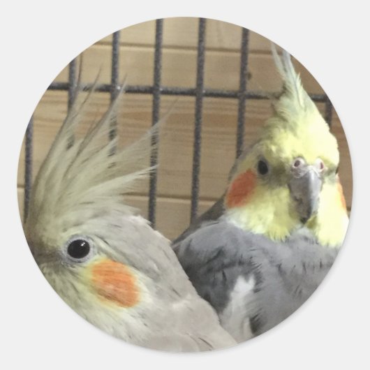 Cockatiels Runder Aufkleber (Vorderseite)