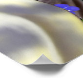 Cockatiels und Vergiss mich Noster Poster (Ecke)