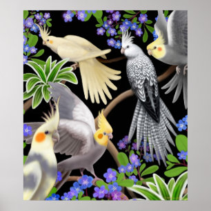Cockatiels und Vergissmeinnicht-Plakat Poster