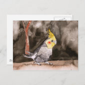 Cockatielvogelmalerei Postkarte (Vorne/Hinten)