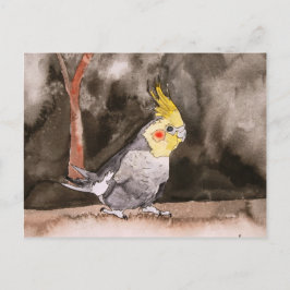 Cockatielvogelmalerei Postkarte