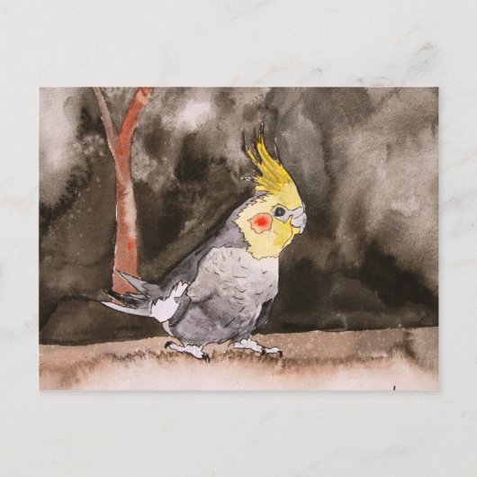 Cockatielvogelmalerei Postkarte (Vorderseite)