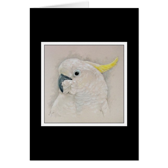 Cockatoo (Vorne)