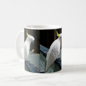 Cockatoo am Frühstück Kaffeetasse (Vorderseite Links)