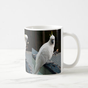 Cockatoo am Frühstück Kaffeetasse