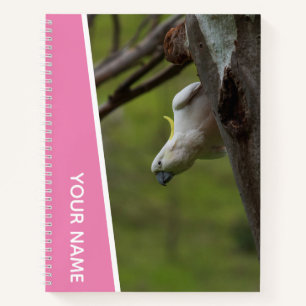 Cockatoo Australia Papagei Auf dem Kopf, Funny Pin Notizblock