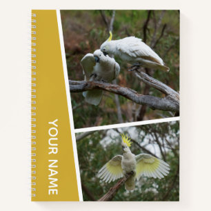 Cockatoo Australia Parrot Bird Foto Collage Gold Notizblock