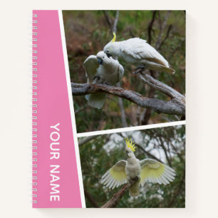 Cockatoo Australia Parrot Bird Foto Collage Pink Notizblock