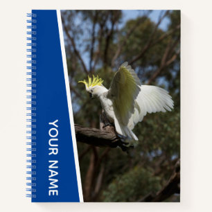 Cockatoo Australia Parrot Bird Wings, Blue Notizblock