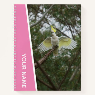 Cockatoo Australia Parrot Bird Wings, rosa Notizblock