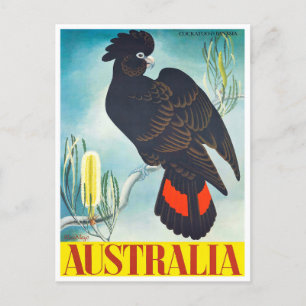 Cockatoo Australia Vintage Reise Postkarte