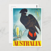 Cockatoo Australia Vintage Reise Postkarte (Vorne/Hinten)