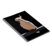 Cockatoo bei Sundial Apartments Spiral Notebook Notizblock (Rechte Seite)