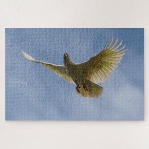 Cockatoo Bird Parrot Animal Fly Sky, 1014 Stück Puzzle