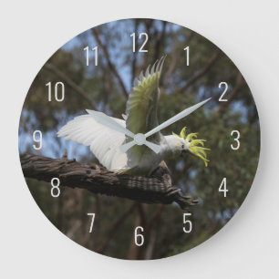 Cockatoo Bird Parrot Fly Wings Avian Australia Große Wanduhr