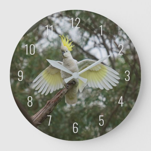 Cockatoo Bird Parrot Fly Wings Avian Australia Große Wanduhr (Vorderseite)