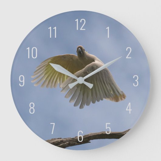 Cockatoo Bird Parrot Flying in Sky Australia Große Wanduhr (Vorderseite)