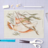 Cockatoo Bird Vögel Vintag Antike Decoupage Seidenpapier (Handwerk)