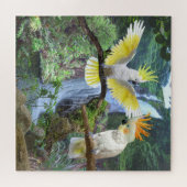 COCKATOO COURTSHOF PUZZLE (Horizontal)