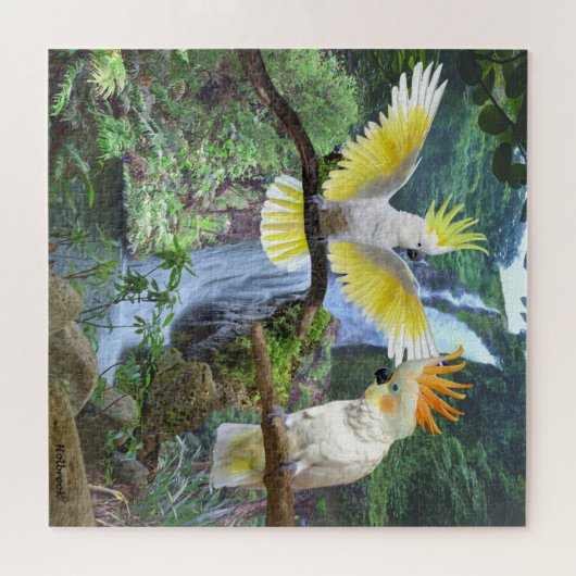 COCKATOO COURTSHOF PUZZLE (Horizontal)