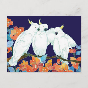 Cockatoo Friends Postkarte