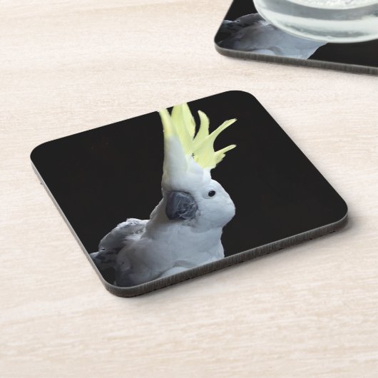 Cockatoo Getränkeuntersetzer (Linke Seite)