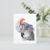 Cockatoo Head (grau) Gemälde von Aert Schouma Postkarte (Stehend Vorderseite)