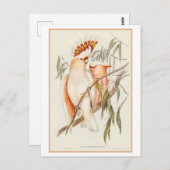 Cockatoo-Illustration des Leadbeaters von Gould Postkarte (Vorne/Hinten)
