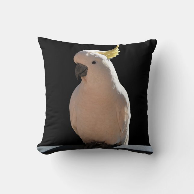 Cockatoo in den Sundial Apartments Cushion Kissen (Vorderseite)