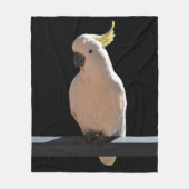 Cockatoo in den Sundial Apartments Fleece Blanket (Vorderseite)