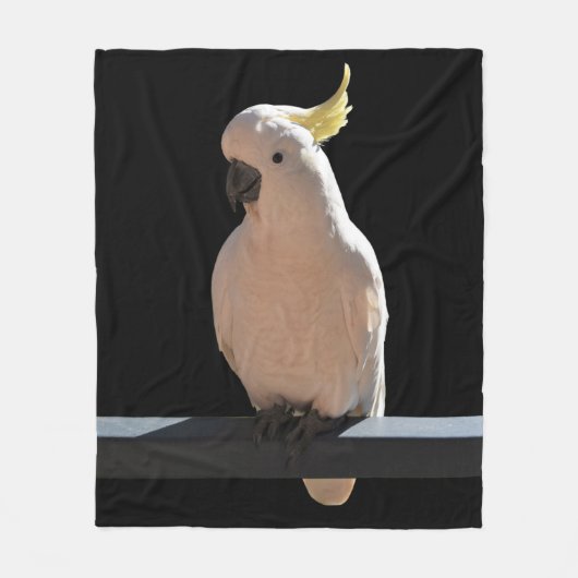Cockatoo in den Sundial Apartments Fleece Blanket (Vorderseite)