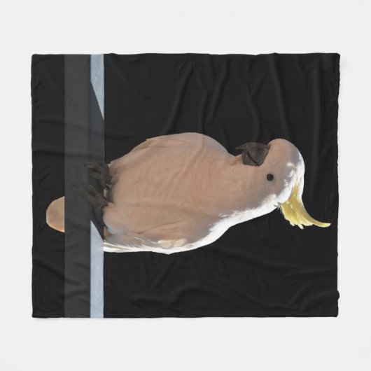 Cockatoo in den Sundial Apartments Fleece Blanket (Vorderseite (Horizontal))