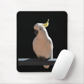 Cockatoo in den Sundial Apartments Mousepad (Mit Mouse)
