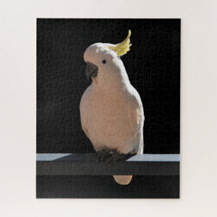 Cockatoo in Sundial Apartments Jigsaw Puzzle