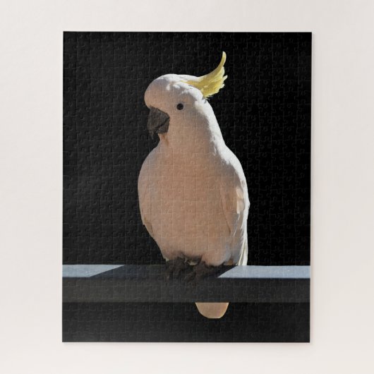 Cockatoo in Sundial Apartments Jigsaw Puzzle (Vertikal)