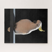 Cockatoo in Sundial Apartments Jigsaw Puzzle (Horizontal)